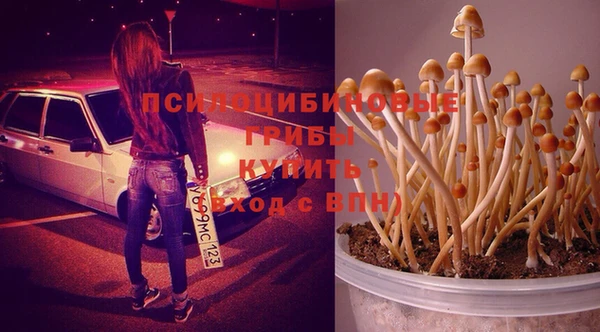 тгк Аркадак