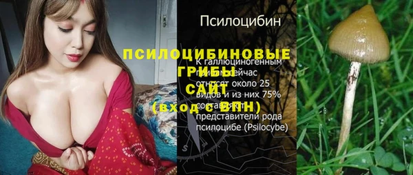 ALPHA-PVP Армянск