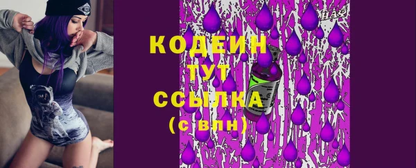 ПСИЛОЦИБИНОВЫЕ ГРИБЫ Арсеньев